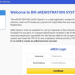 How To Get TIN Number Online Using EREG System