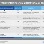 What Is A Taxpayer Identification Number 5 Types Of TINs